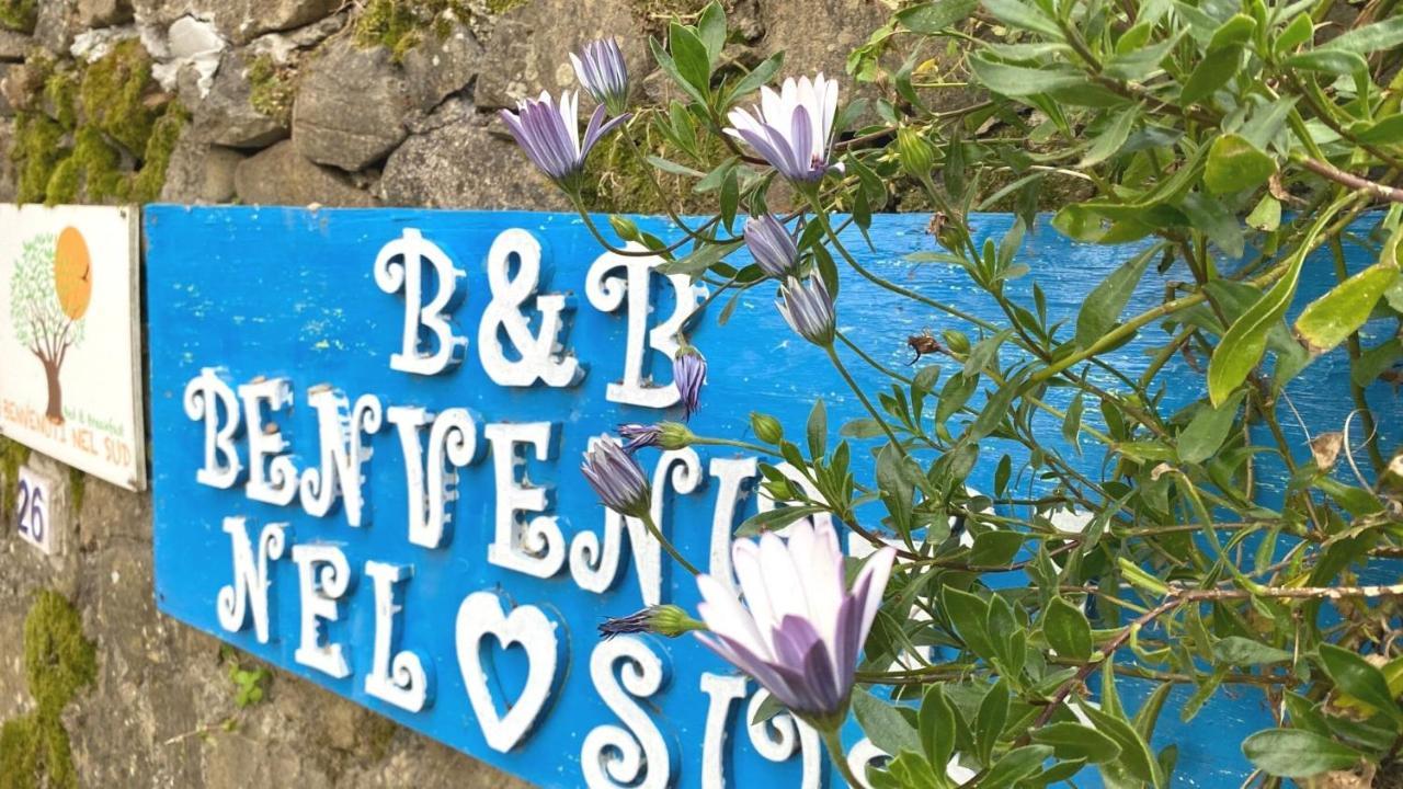 Benvenuti Nel Sud Bed & Breakfast Sessa Cilento Ngoại thất bức ảnh