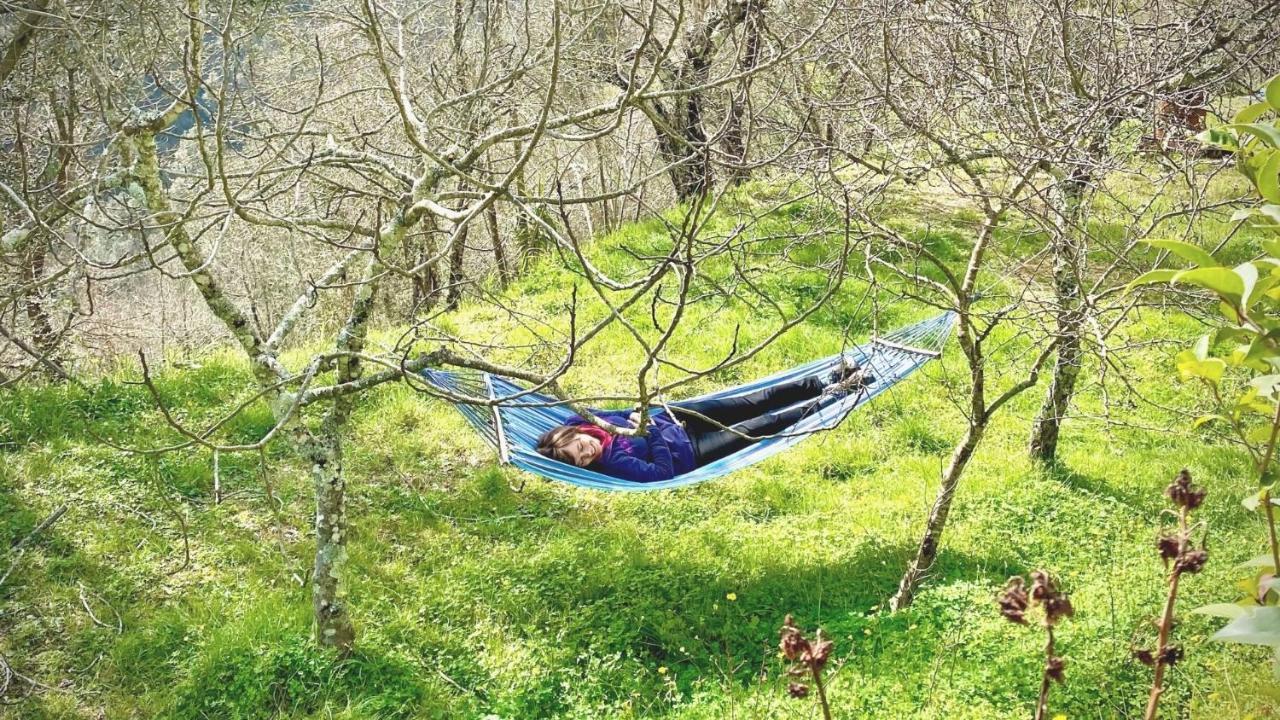 Benvenuti Nel Sud Bed & Breakfast Sessa Cilento Ngoại thất bức ảnh