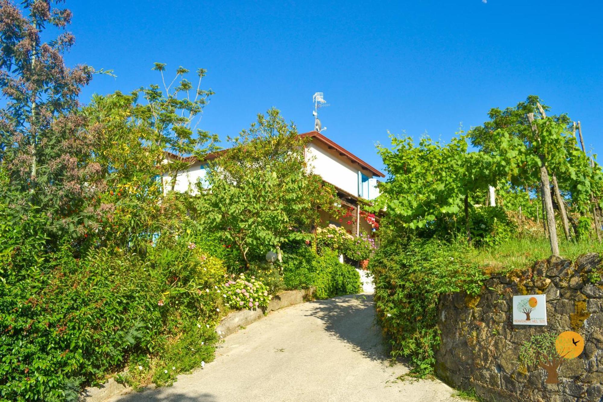 Benvenuti Nel Sud Bed & Breakfast Sessa Cilento Ngoại thất bức ảnh