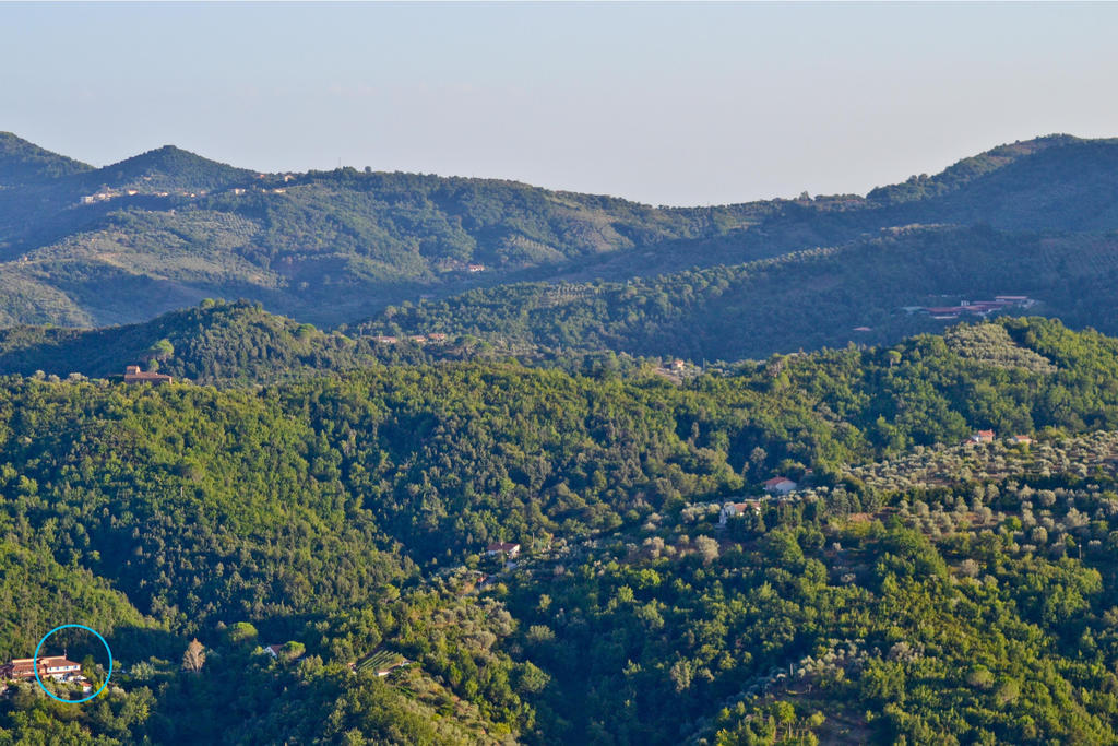 Benvenuti Nel Sud Bed & Breakfast Sessa Cilento Ngoại thất bức ảnh