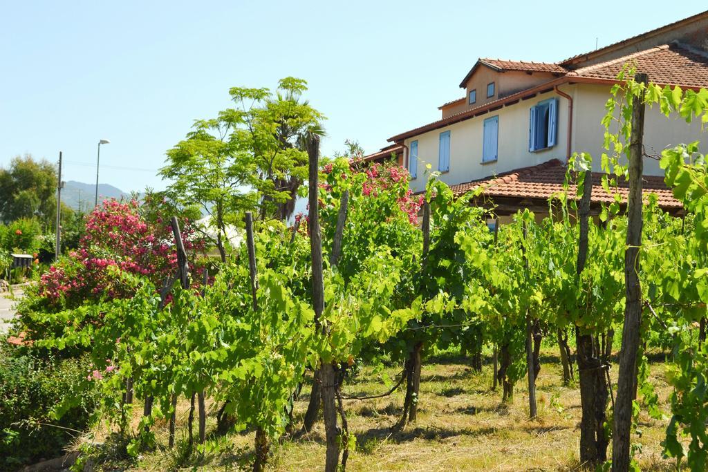 Benvenuti Nel Sud Bed & Breakfast Sessa Cilento Ngoại thất bức ảnh