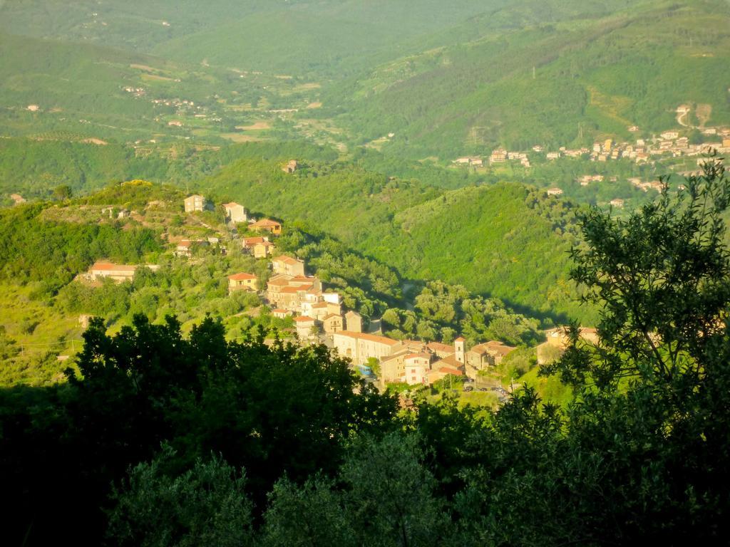Benvenuti Nel Sud Bed & Breakfast Sessa Cilento Ngoại thất bức ảnh