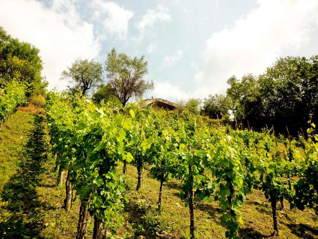 Benvenuti Nel Sud Bed & Breakfast Sessa Cilento Ngoại thất bức ảnh