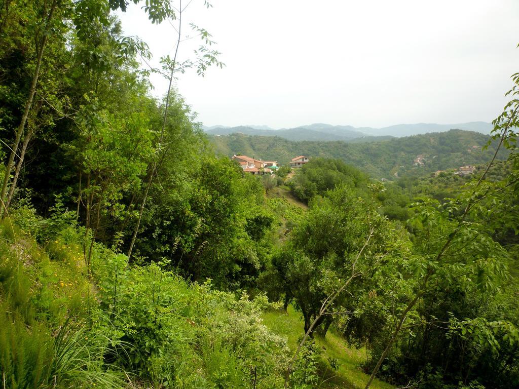 Benvenuti Nel Sud Bed & Breakfast Sessa Cilento Ngoại thất bức ảnh