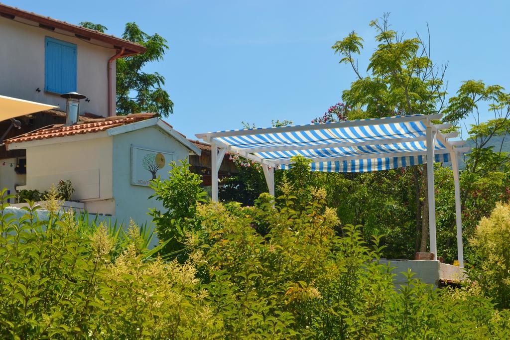 Benvenuti Nel Sud Bed & Breakfast Sessa Cilento Ngoại thất bức ảnh