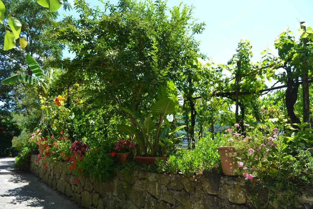 Benvenuti Nel Sud Bed & Breakfast Sessa Cilento Ngoại thất bức ảnh
