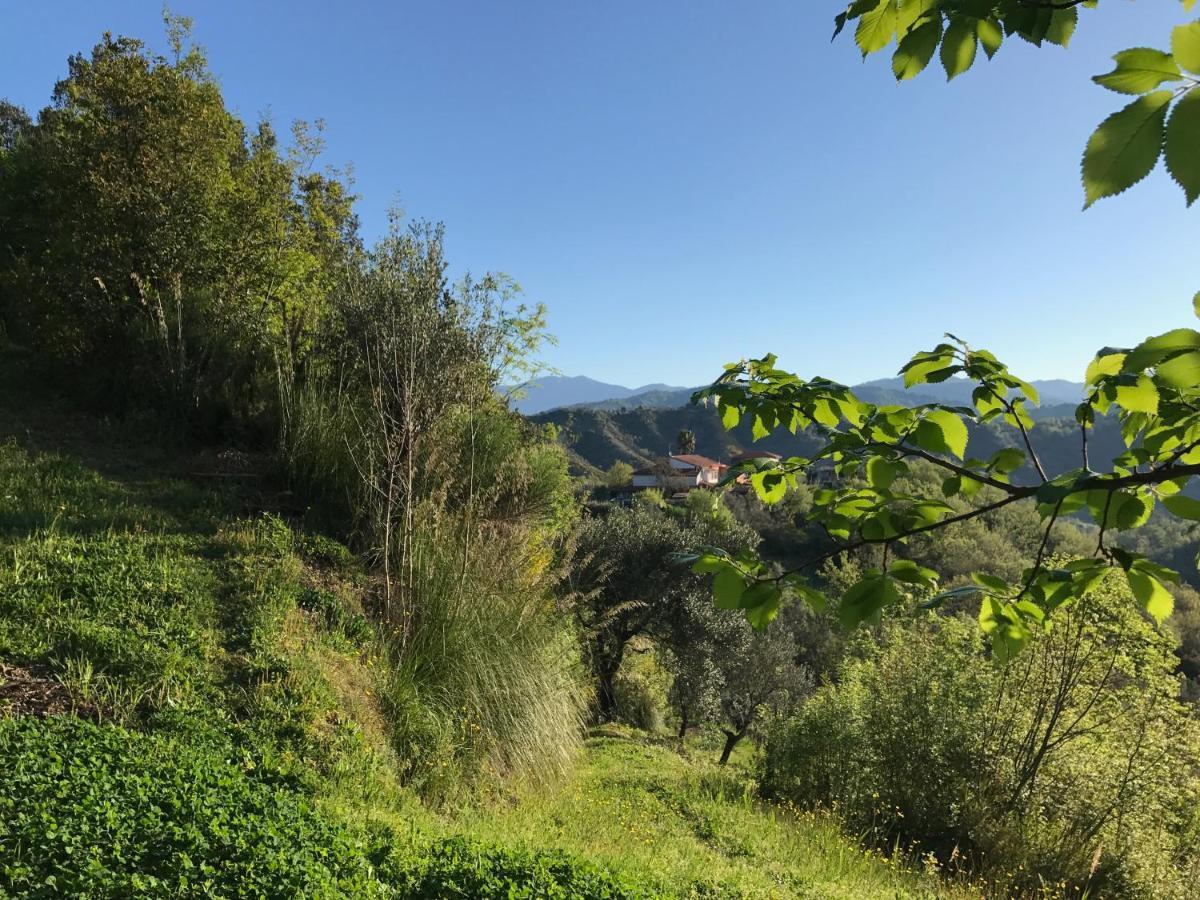 Benvenuti Nel Sud Bed & Breakfast Sessa Cilento Ngoại thất bức ảnh