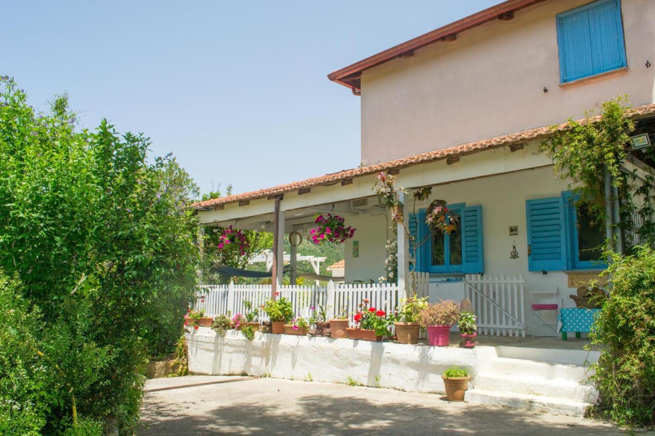 Benvenuti Nel Sud Bed & Breakfast Sessa Cilento Ngoại thất bức ảnh